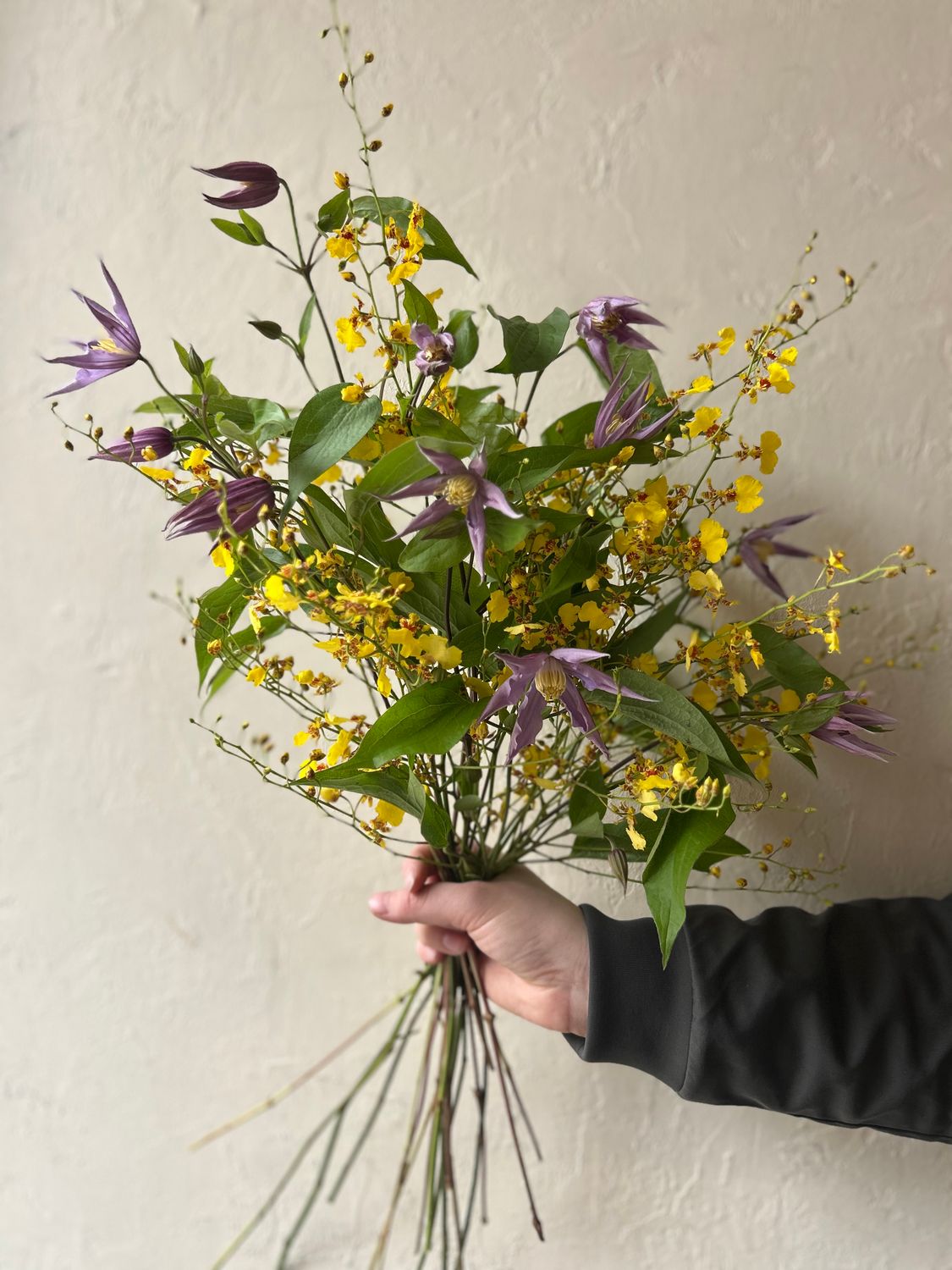 ONCIDIUM ONCIDIUMS AND CLEMATIS