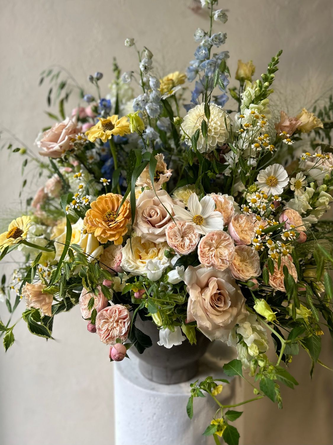 JARDIN ARRANGEMENT