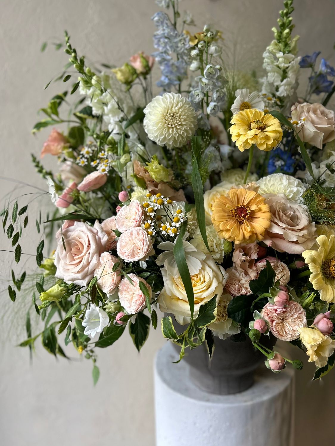 JARDIN ARRANGEMENT