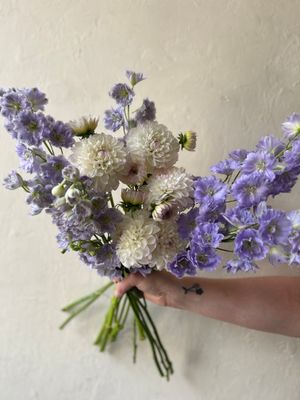 DAHLIAS + DELPHNIUMS