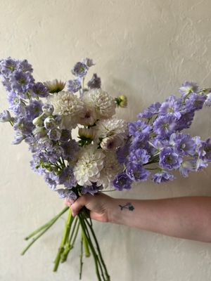 DAHLIAS + DELPHNIUMS