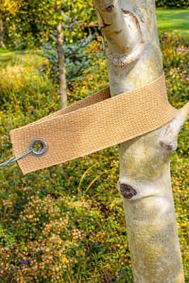 Tree Strap 20" Tan