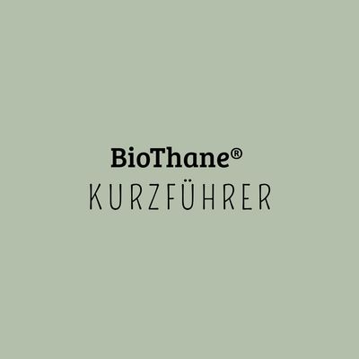 Kurzführer