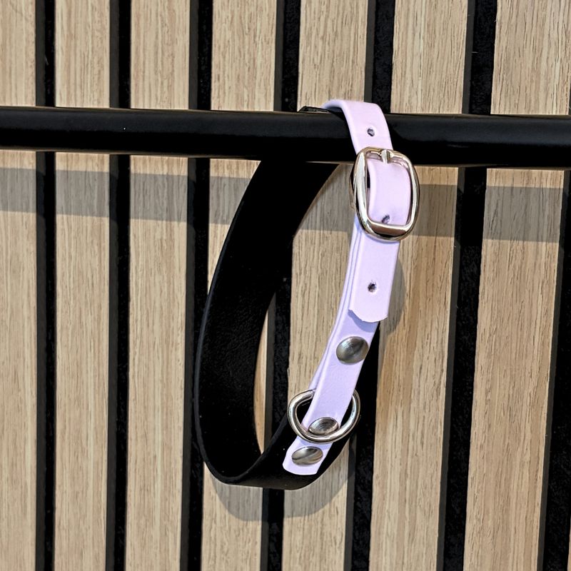 Halsband Benjy