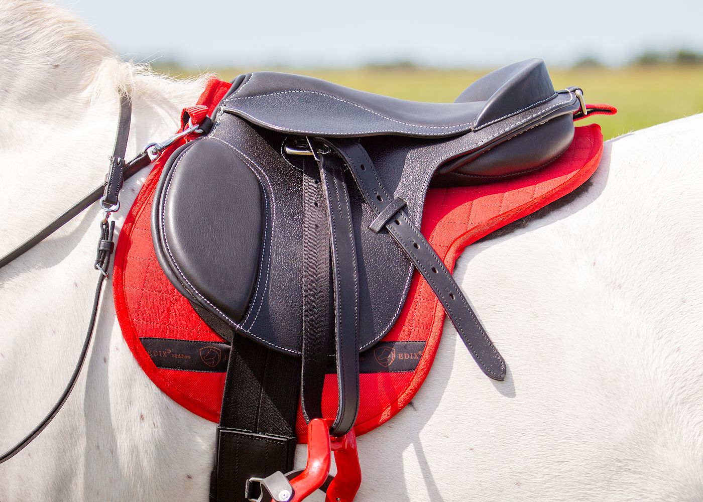 EDIX Amigo – Dziecięce siodło bezterlicowe (zestaw)