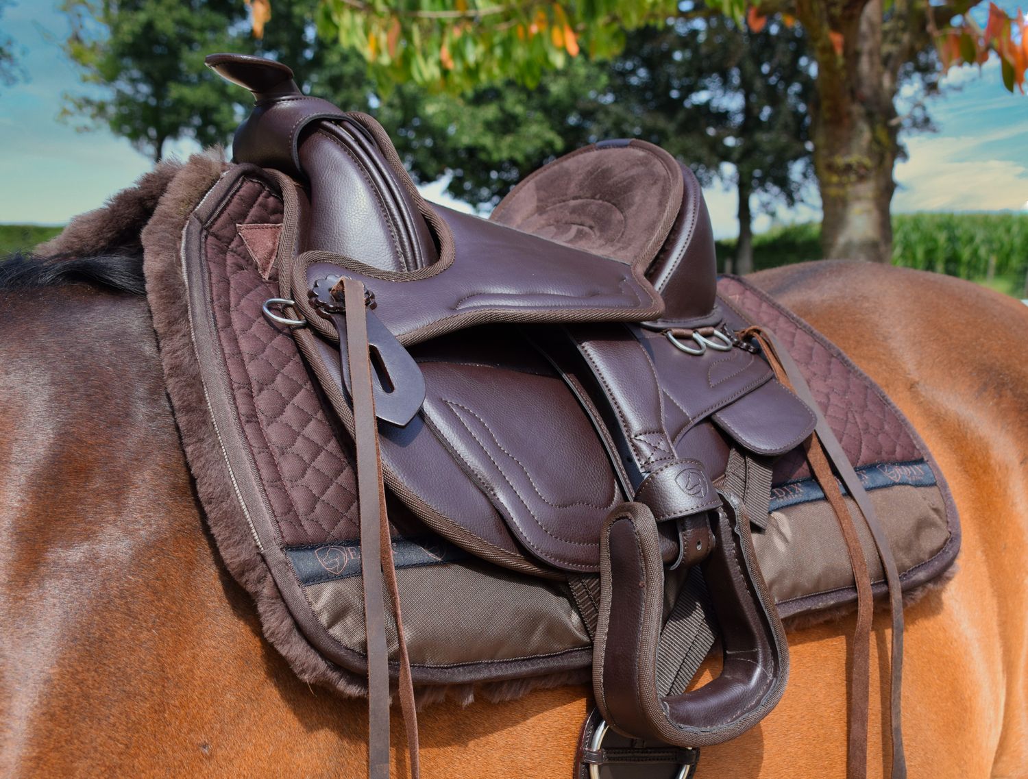 EDIX Billy – Dziecięce siodło westernowe (bezterlicowe)