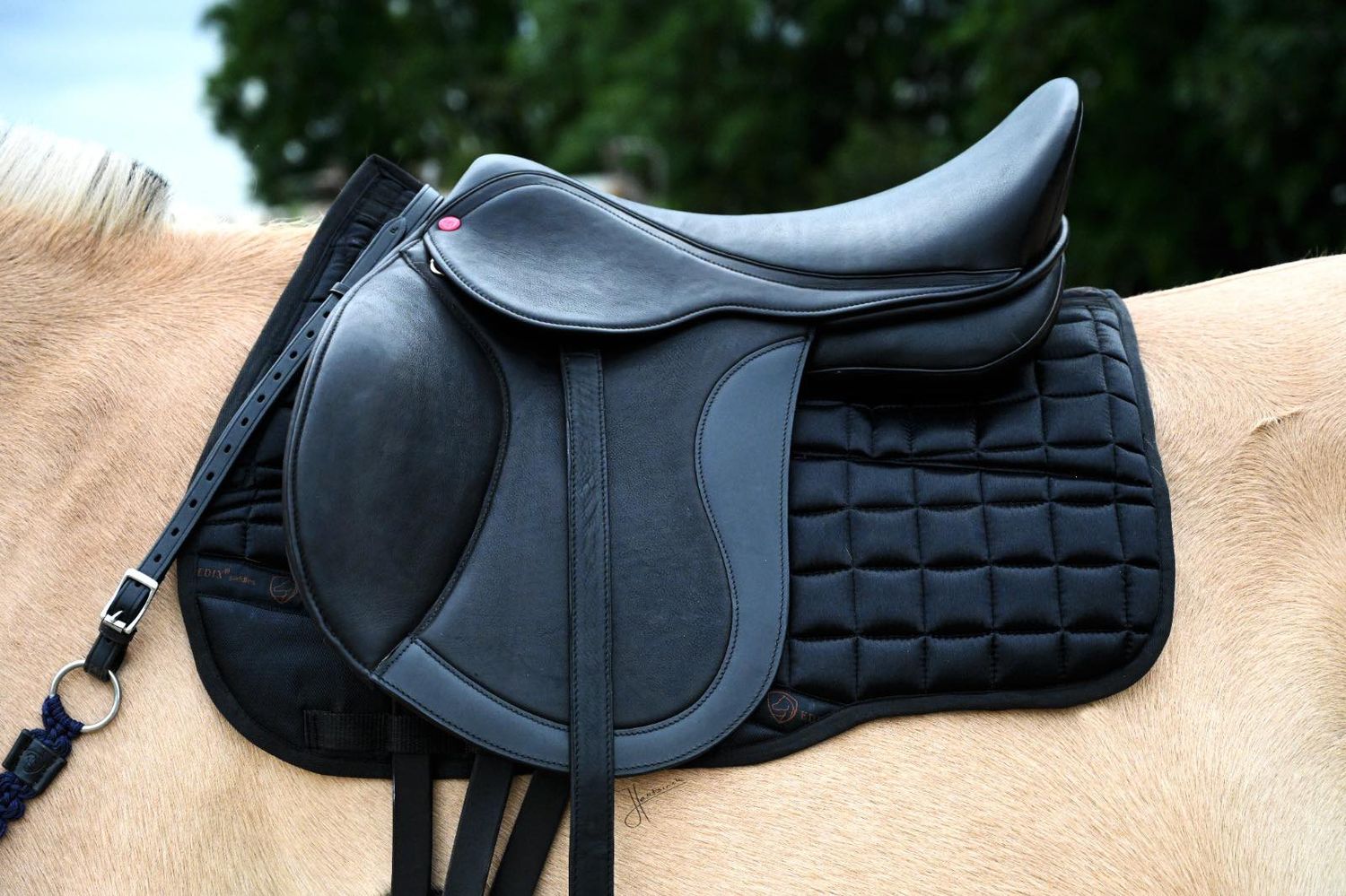 Siodło Wszechstronne EDIX EMIR | SOFT TREE