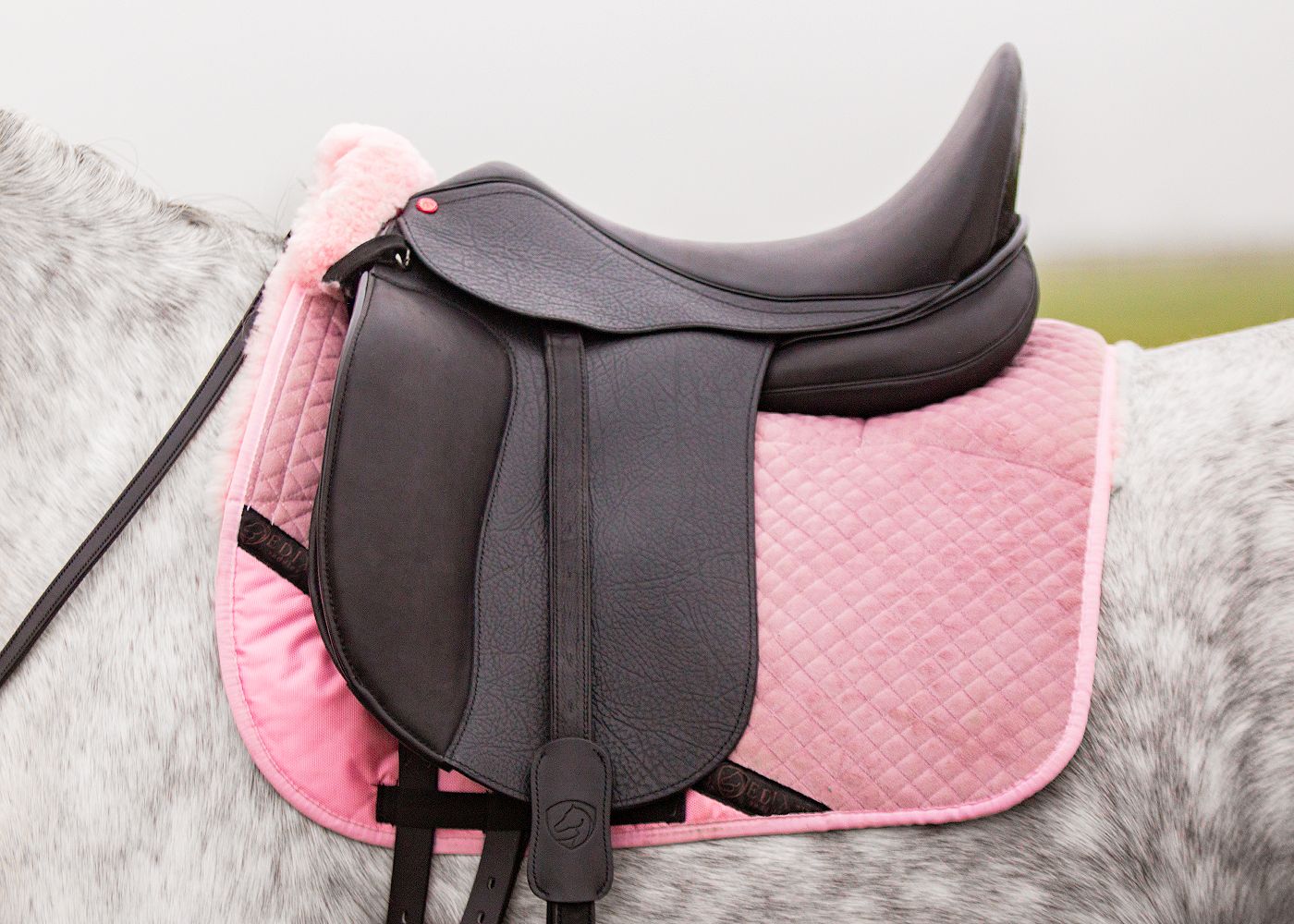 EDIX Zyba – Elastyczne siodło ujeżdżeniowe