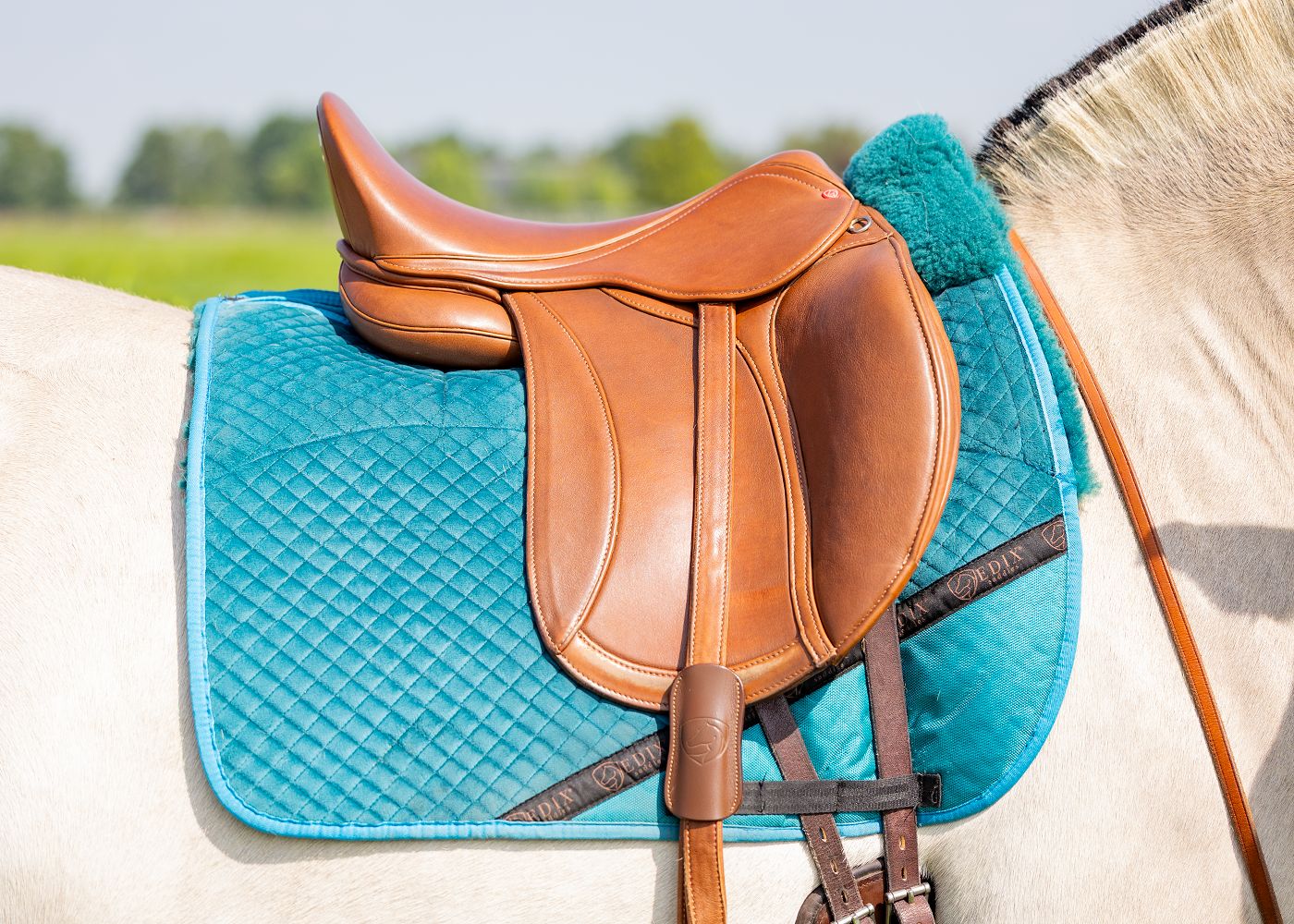 Pad ujeżdżeniowy EDIX DR Velvet – 8 kieszeni, aksamit i wełna Merino