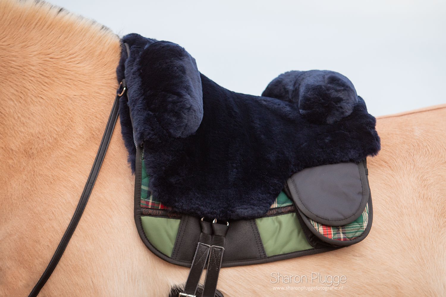 EDIX® Signor Merino sheepskin Barebackpad