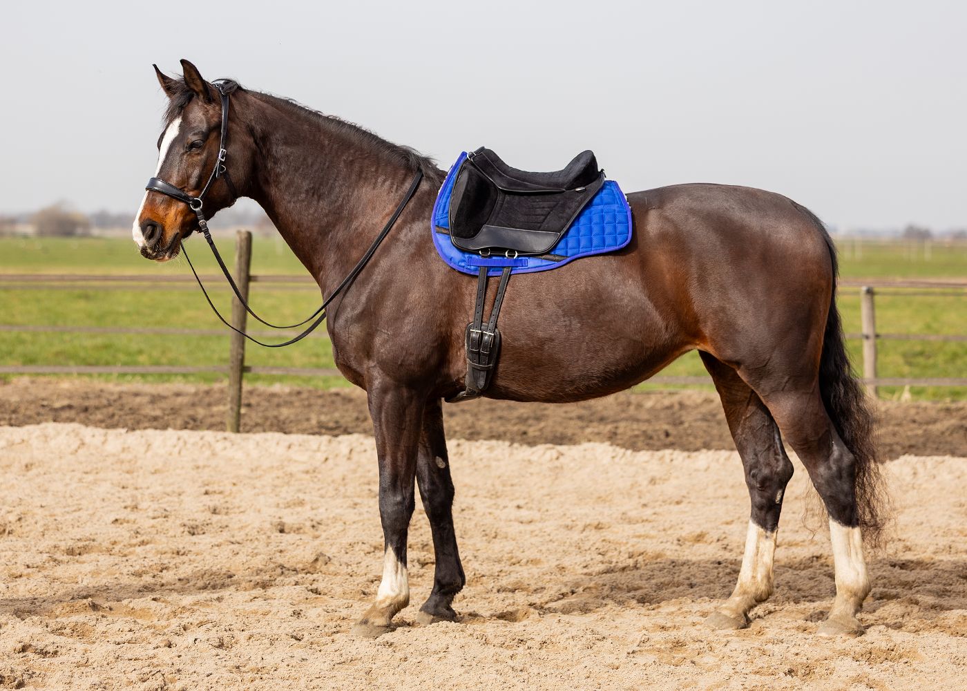 EDIX® Fusion Suède barebackpad