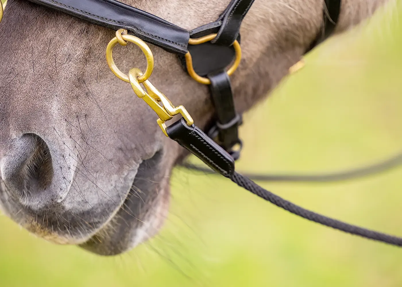 EDIX® Refine long reins