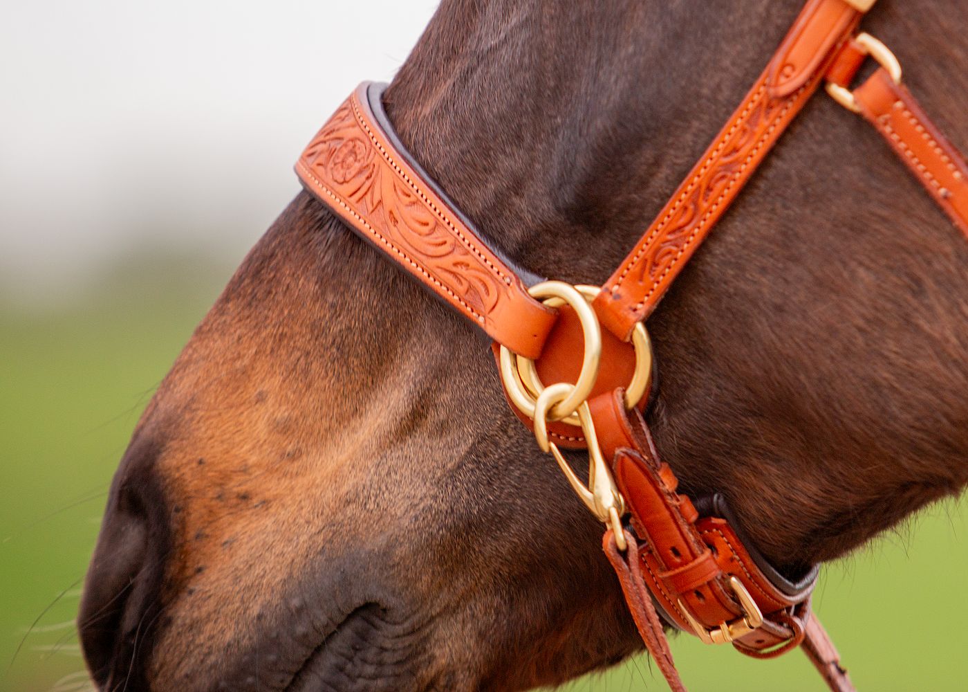 EDIX® ED2 sidepull bridle "Rose Collection"