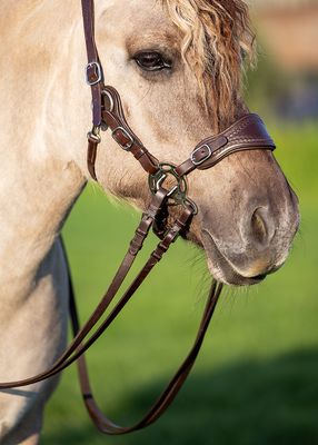EDIX® ED4 Hackamore bridle, model Jazz