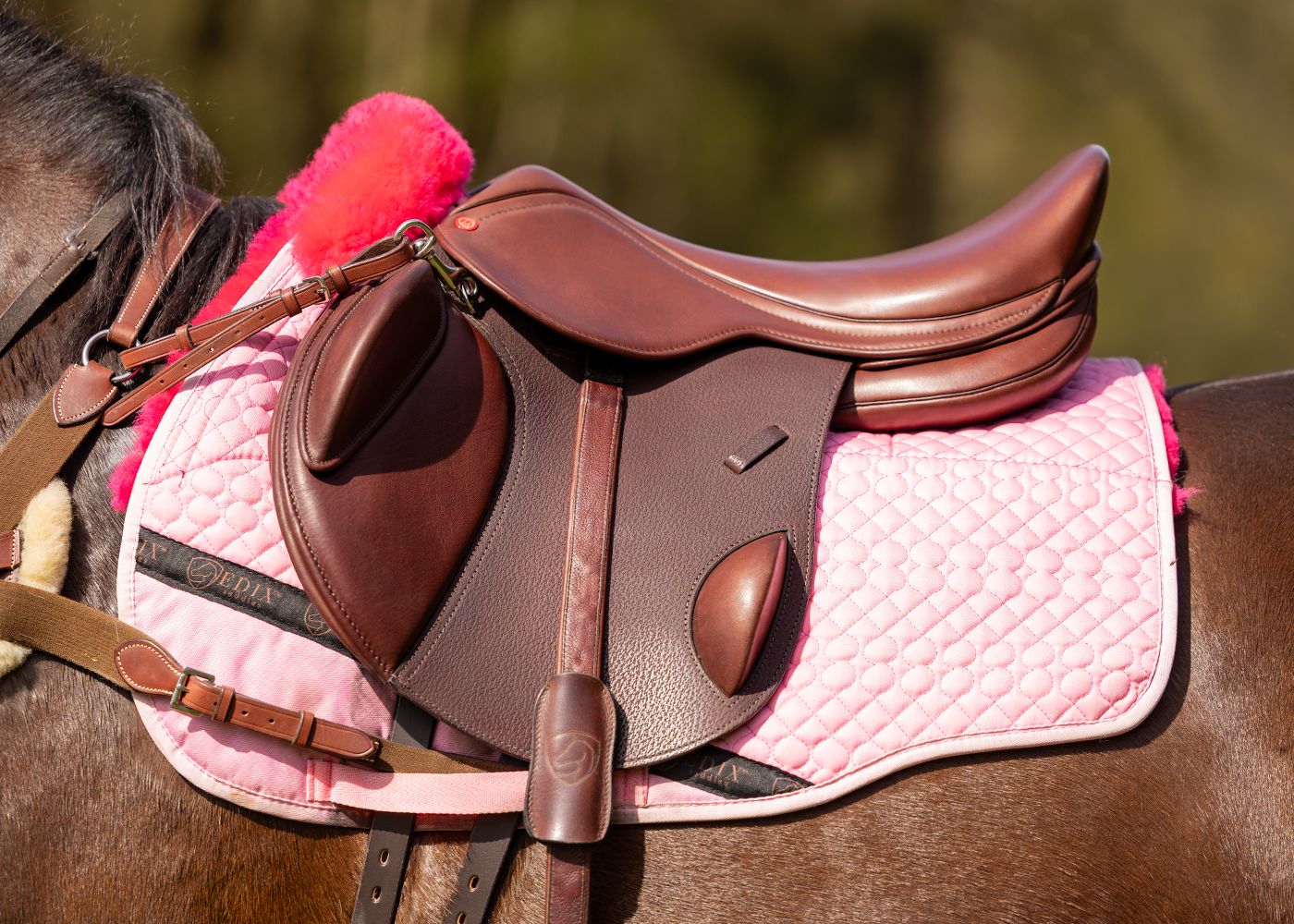 Edix Grand Eventing - siodlo skokowe