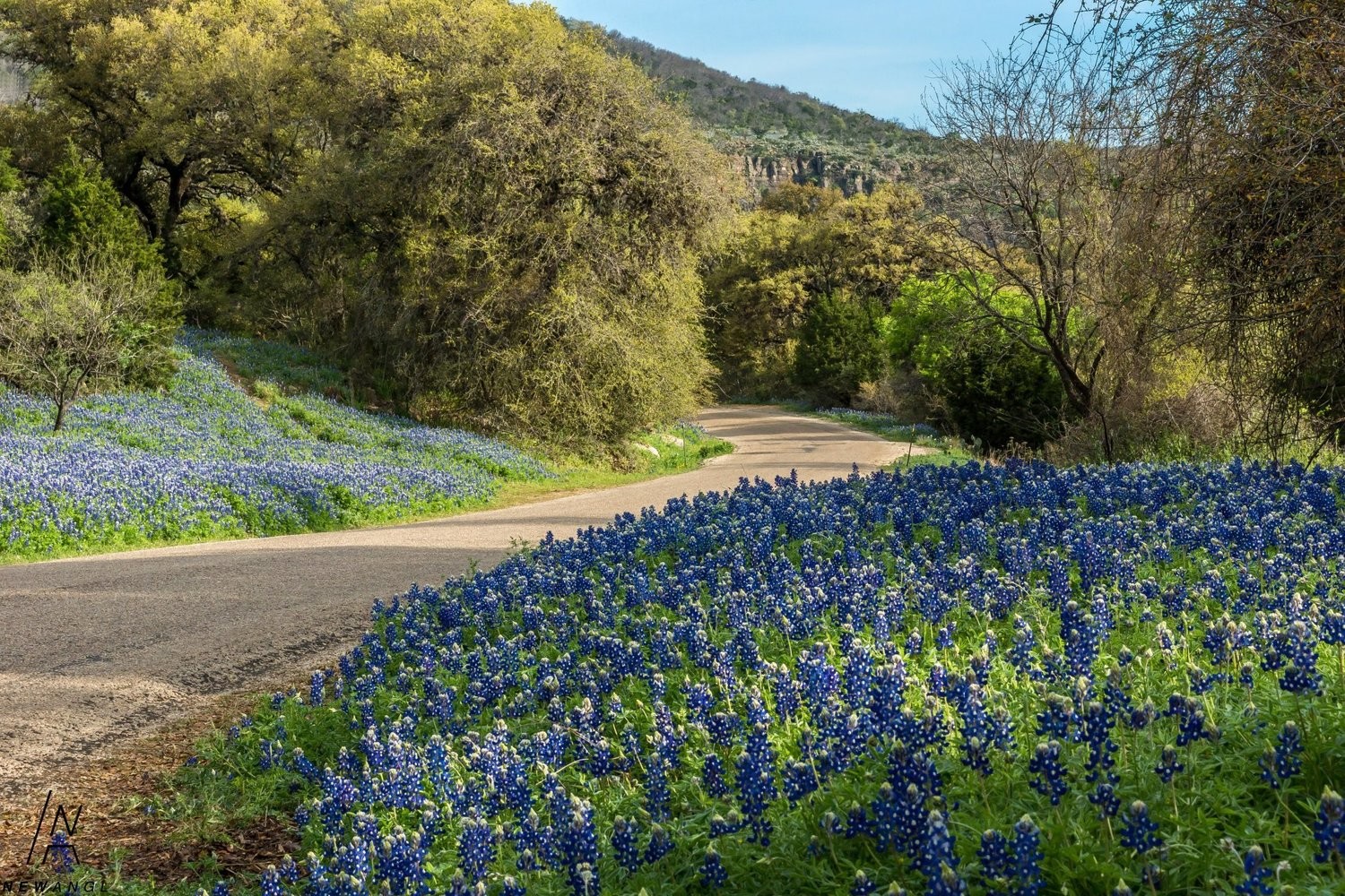 # 775 Trail Of Blue