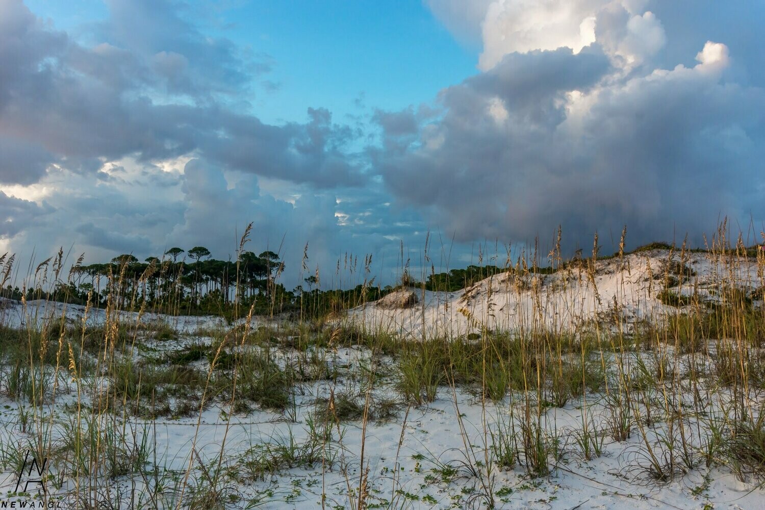 1868  Dunes