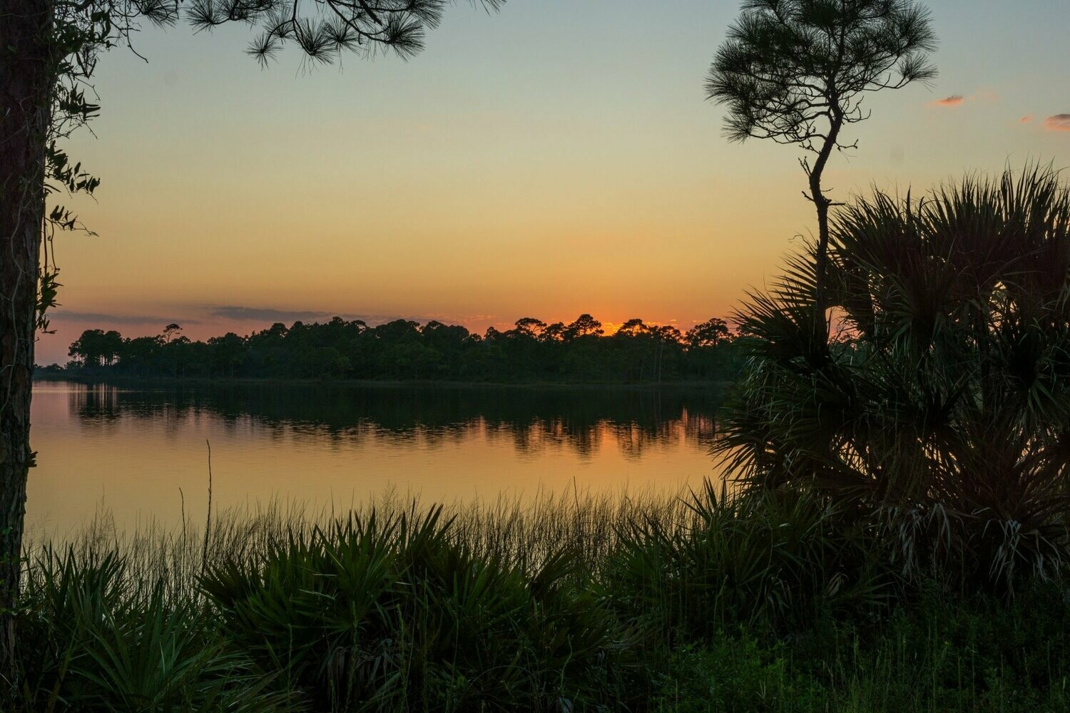 1828  Gloaming Hour