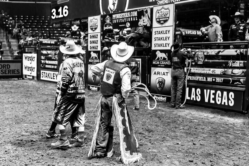 7329  Cowboy