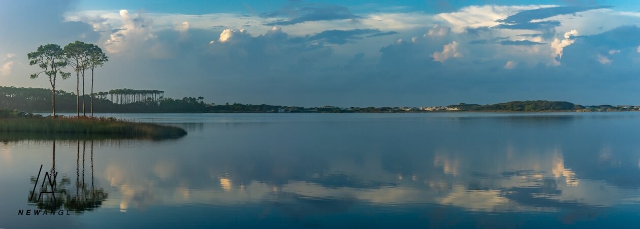 #8526  Blue Dawn