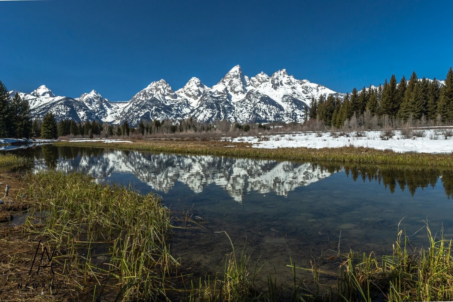 #9045  Teton Spring
