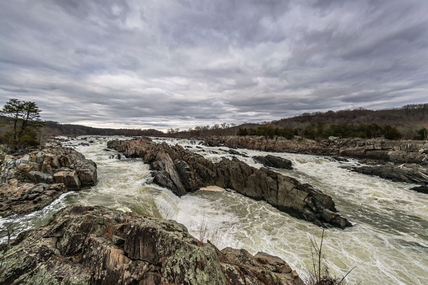 # 981 The Gorge