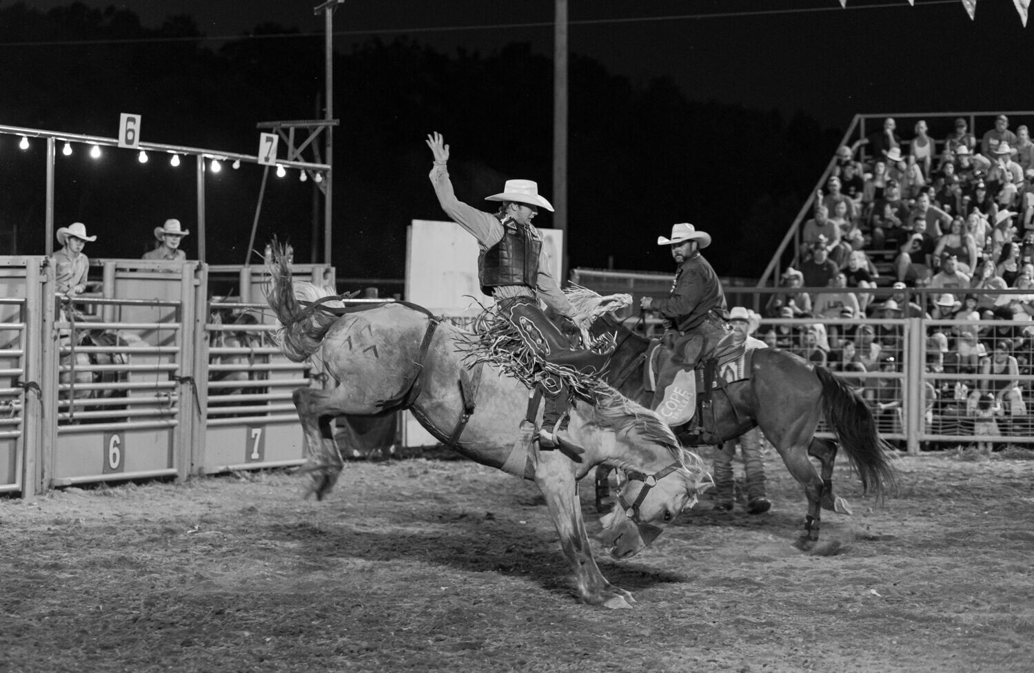 # 254  Night Rider
