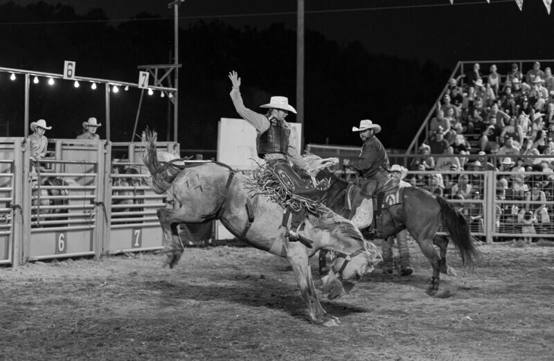 # 254  Night Rider