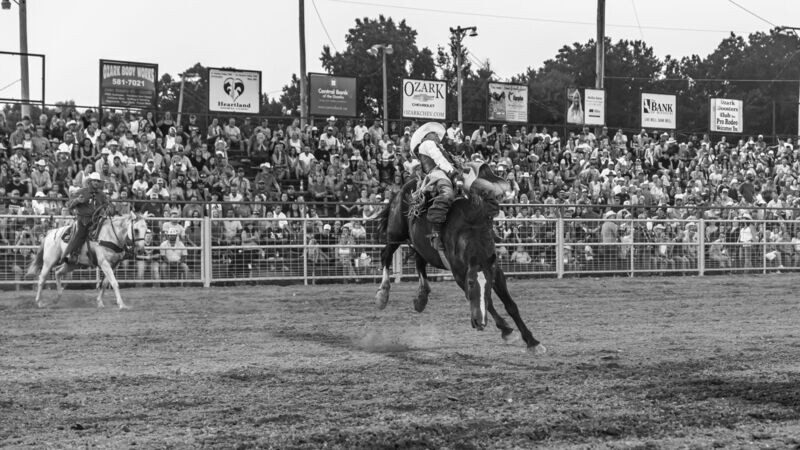 # 241  The Cowboy Way