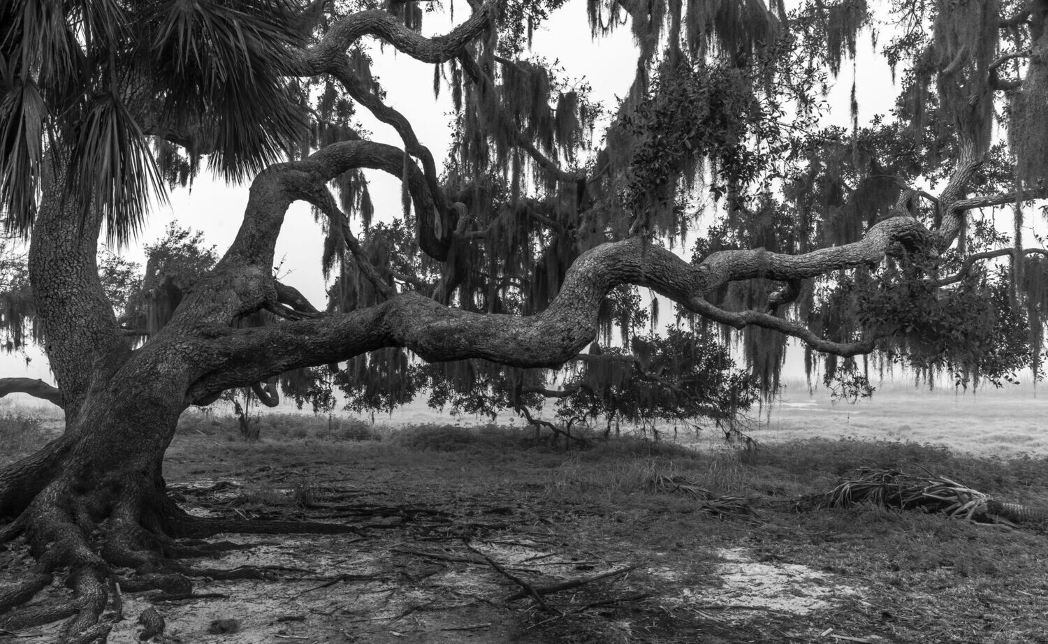 # 2950  Long Reach