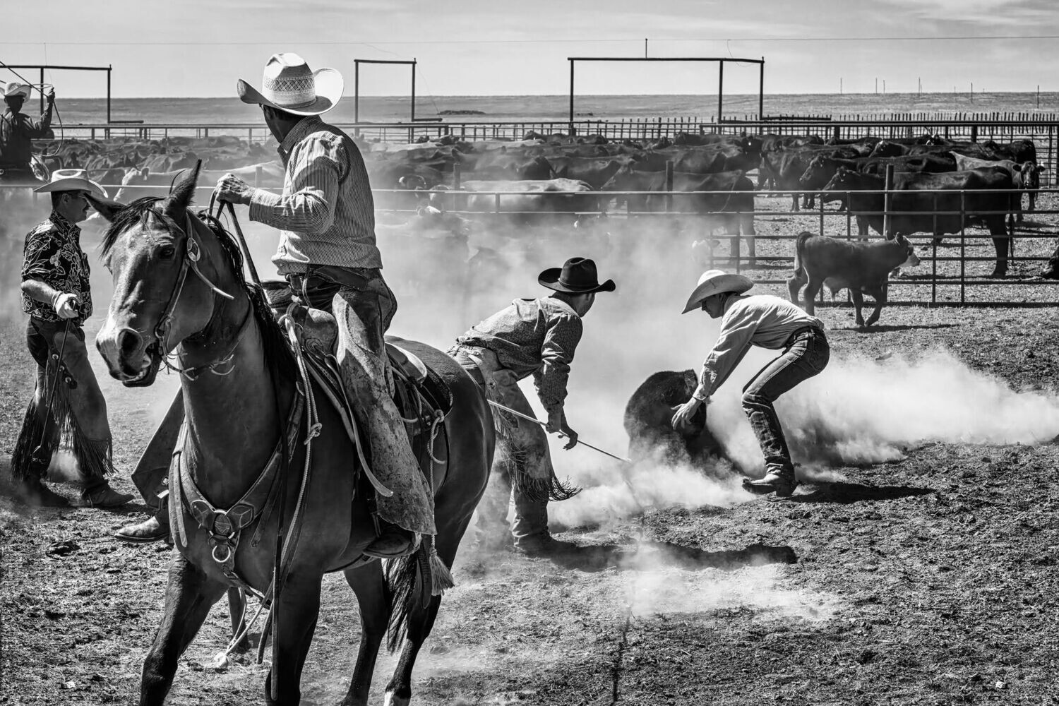 3616  Dusty Work