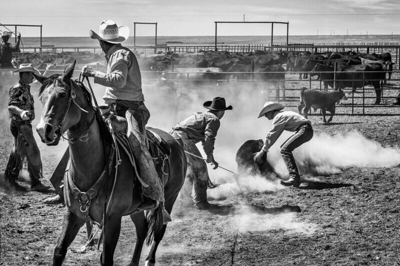 3616  Dusty Work