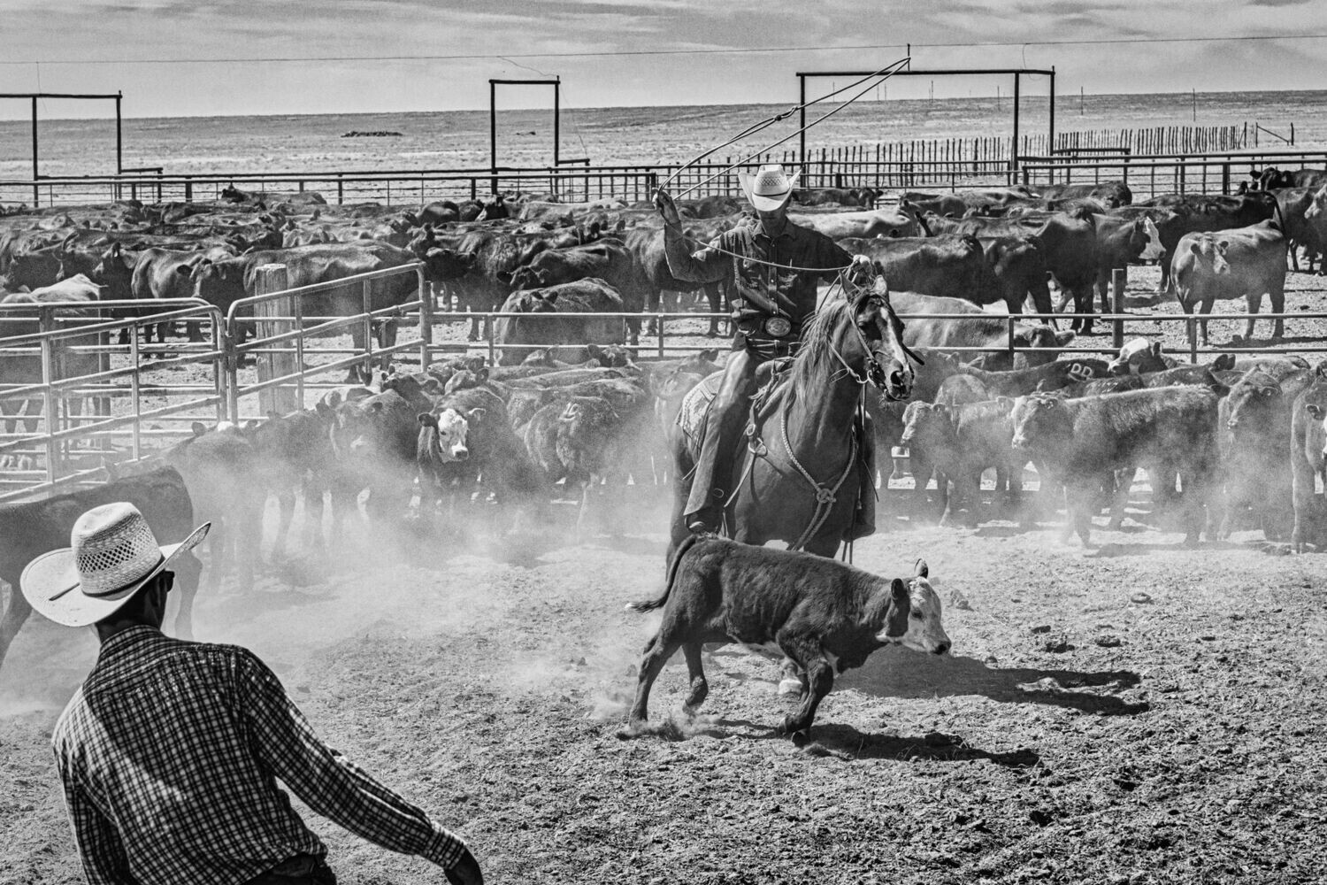 3640  Rope 'em