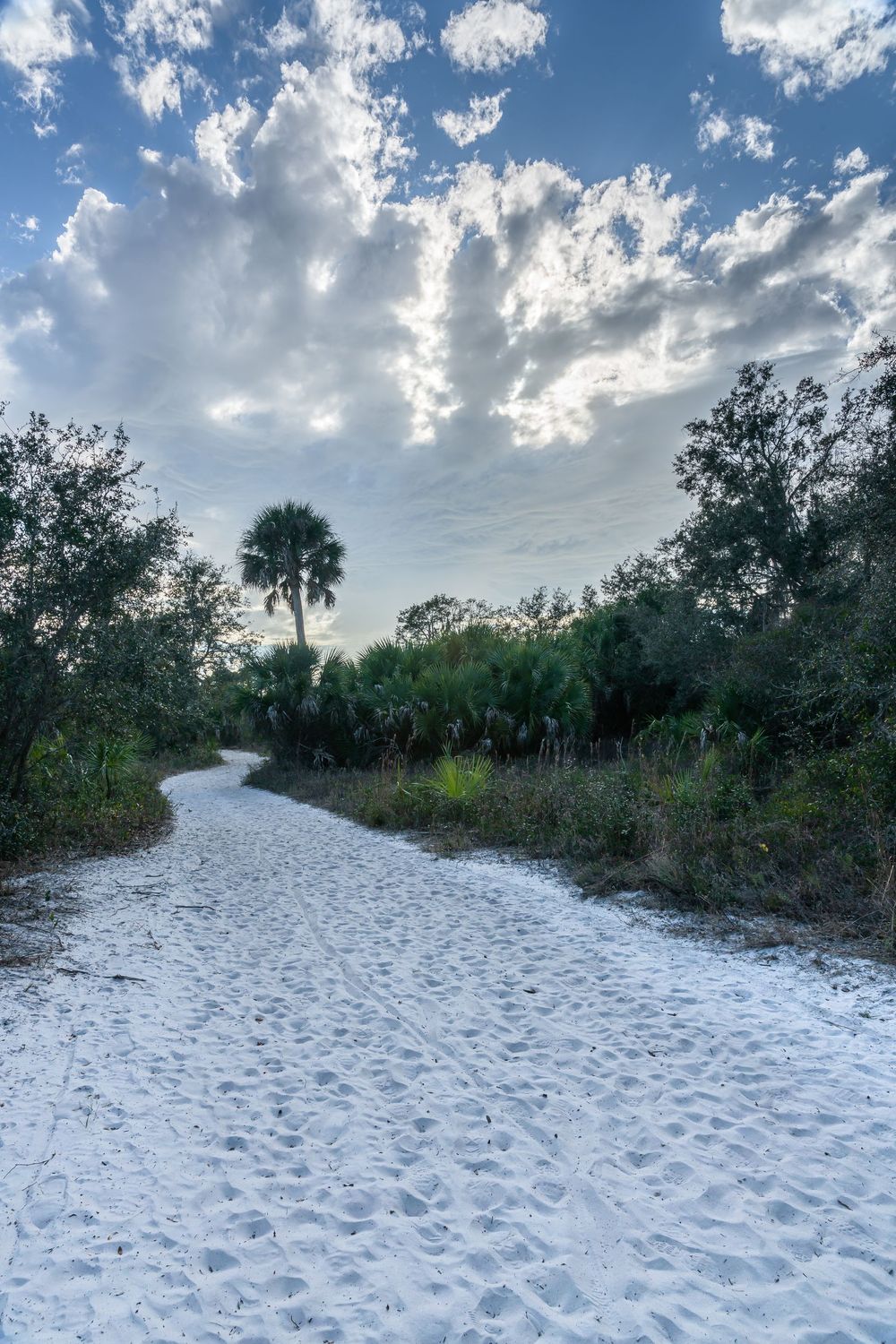 # 2586  Sandy Path