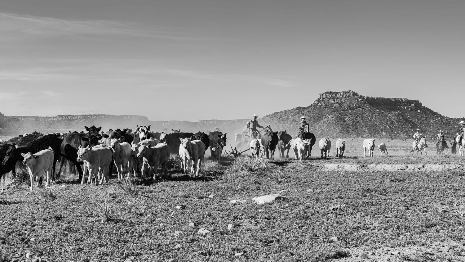 # 5093  The Gathering