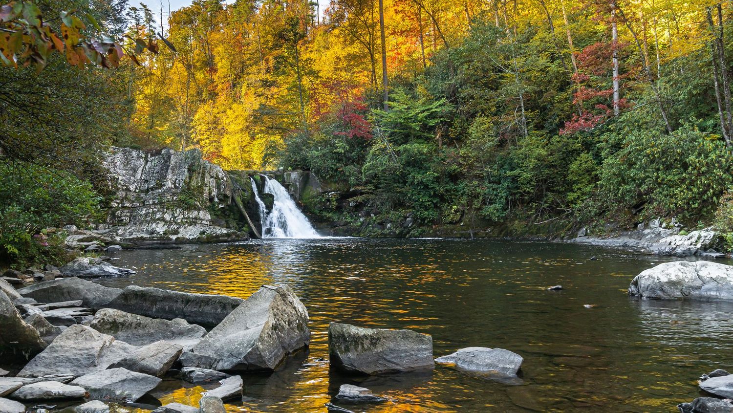 5679 Abrams Falls 5679 Abrams Falls