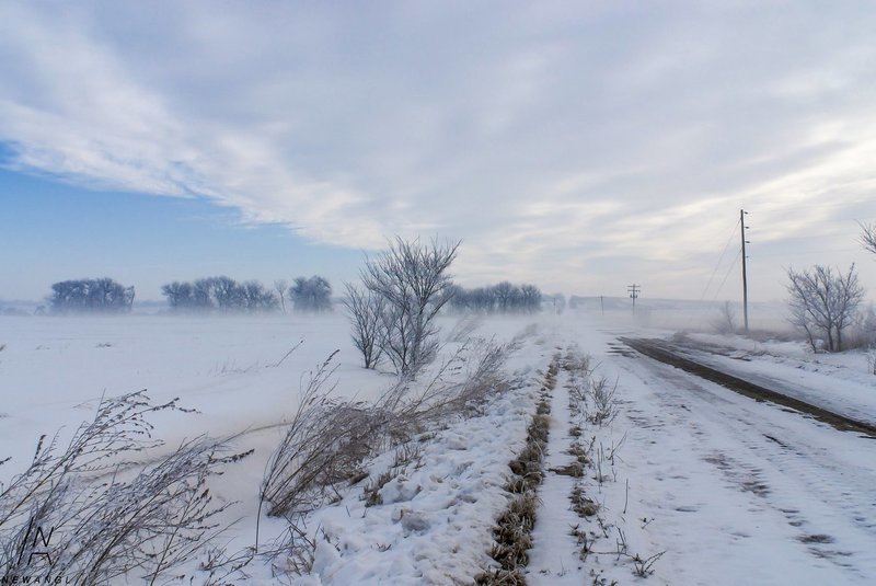 #2544 Winter Passage