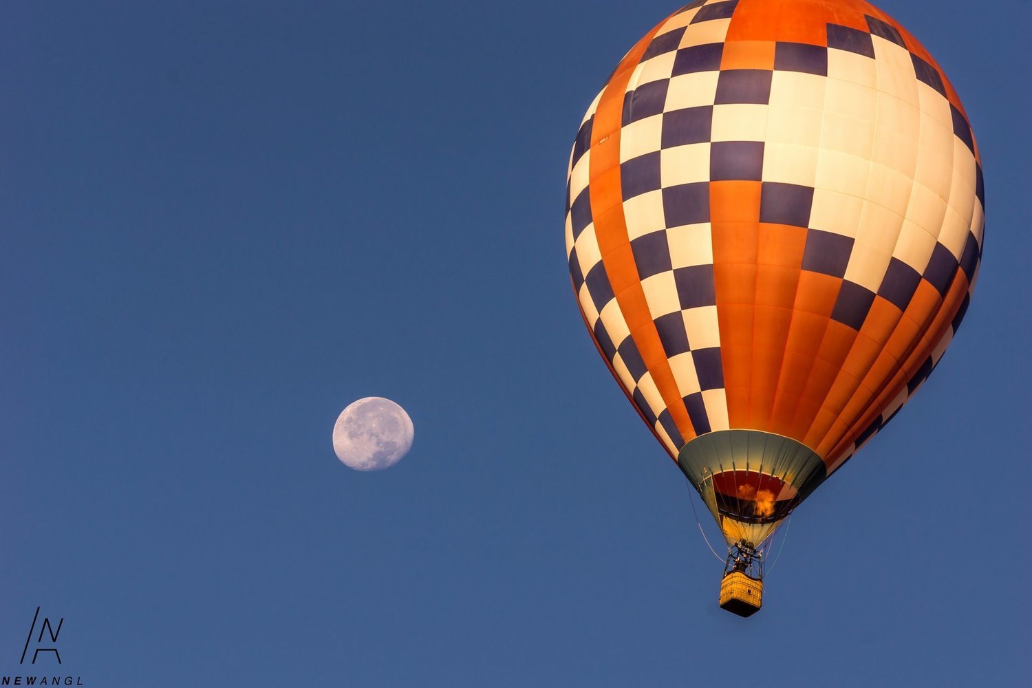 #7805 Soaring
