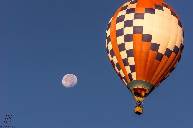 #7805 Soaring