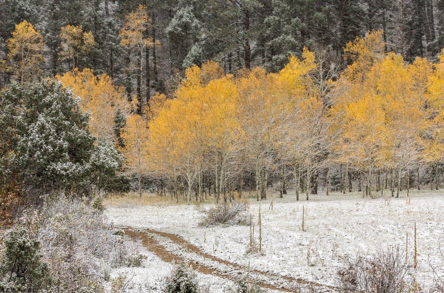 #8017 Cold Passage