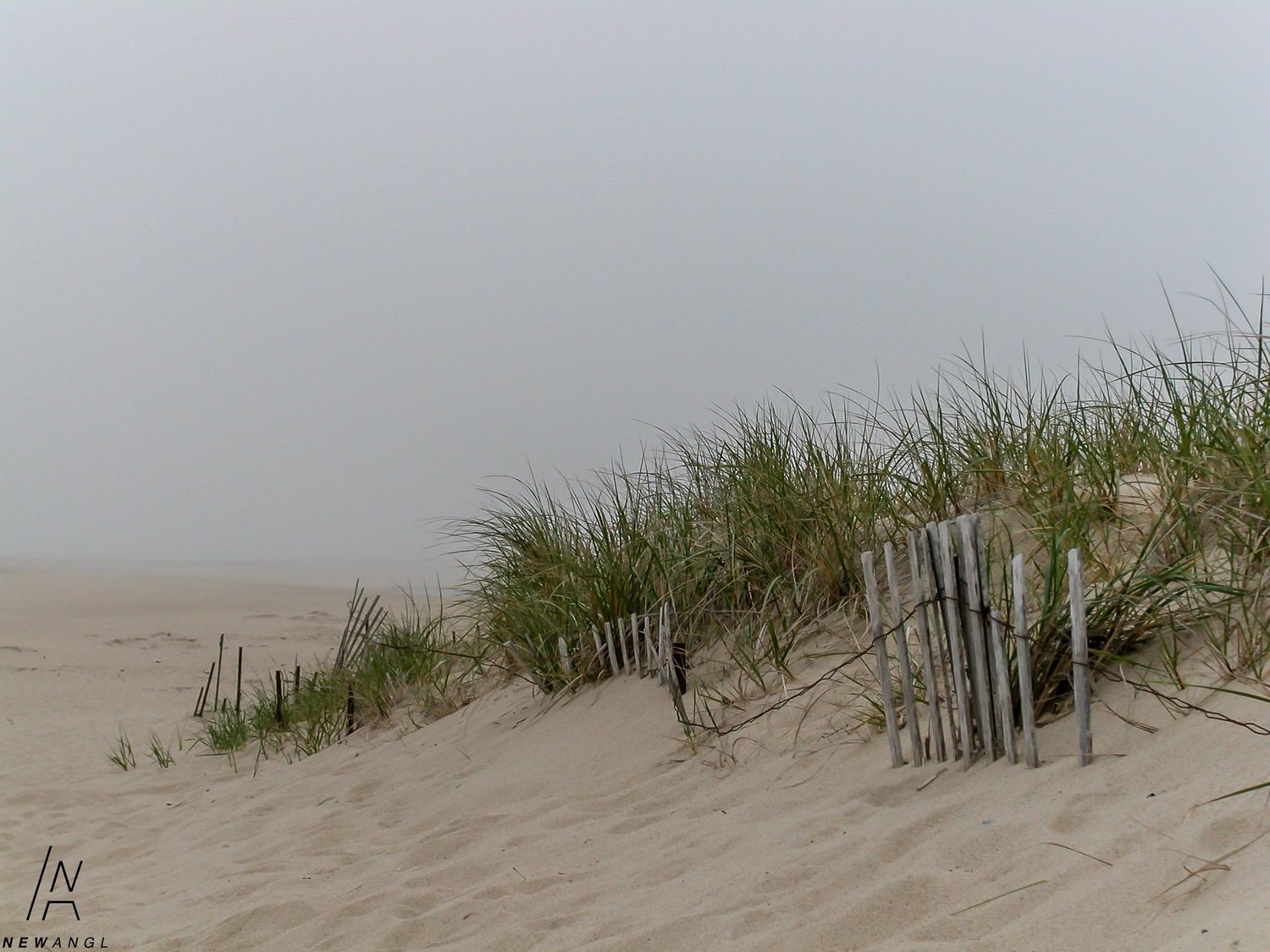 #002 Lonely Dune
