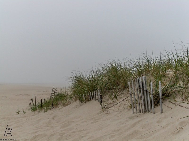 #002 Lonely Dune