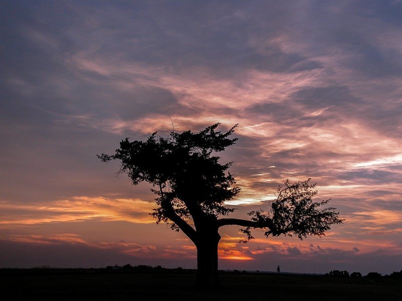 #023 Evening Symphony Of Light
