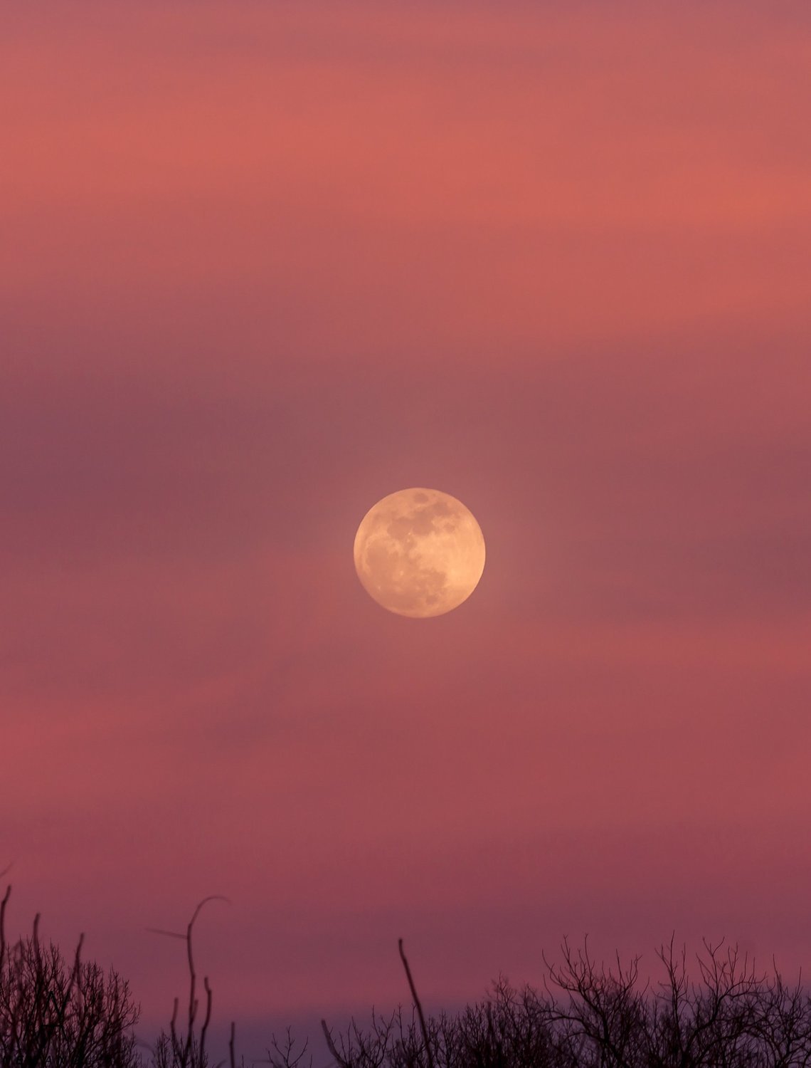#8617 Moonrise