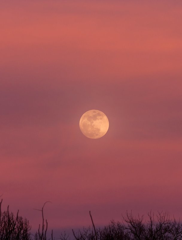 #8617 Moonrise