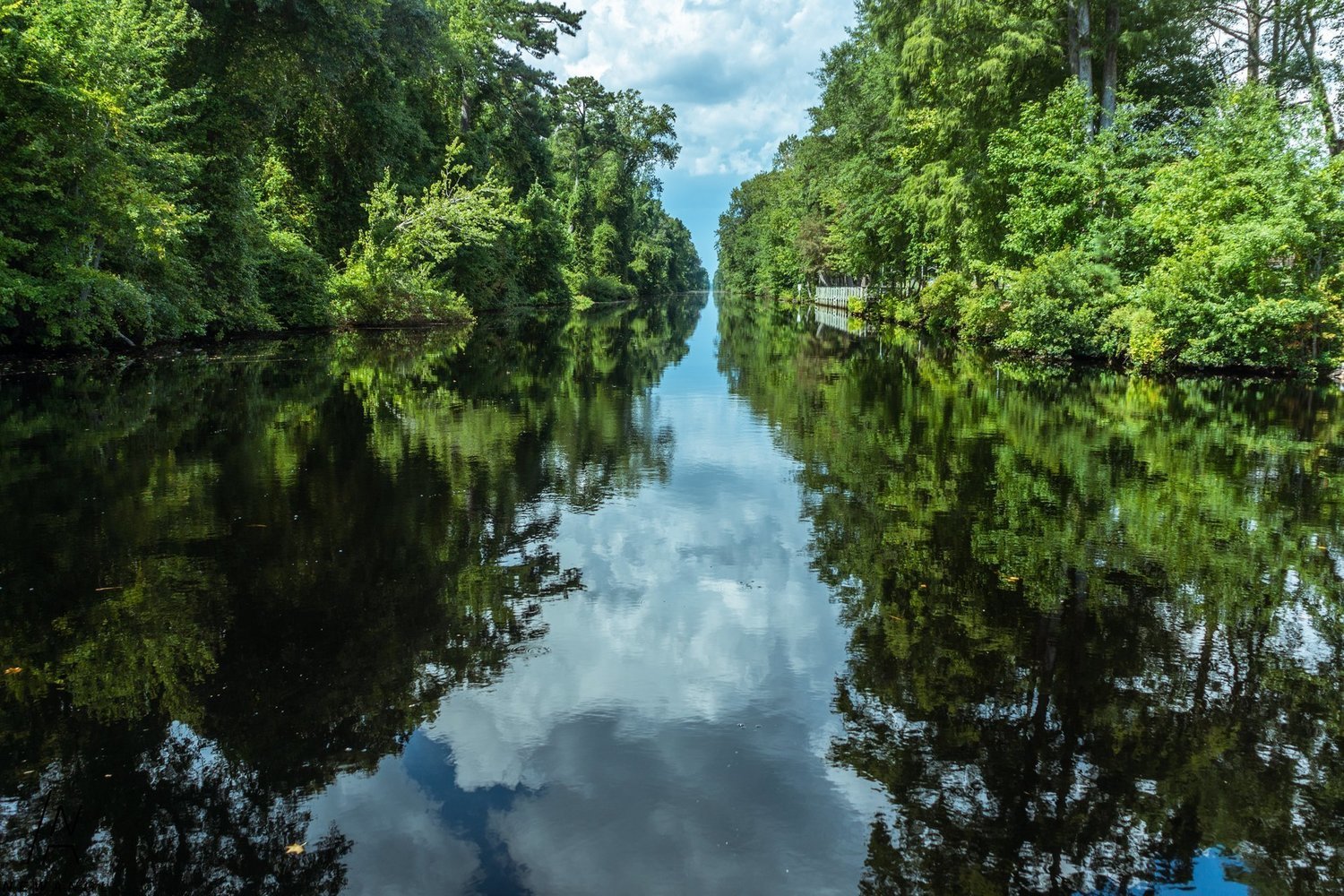 #4266 Reflections