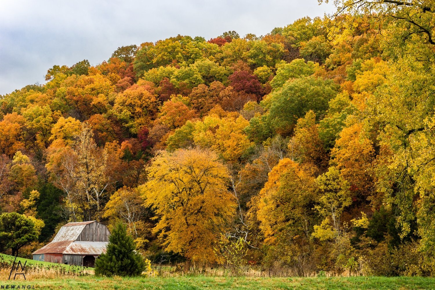 #294  Indian Summer