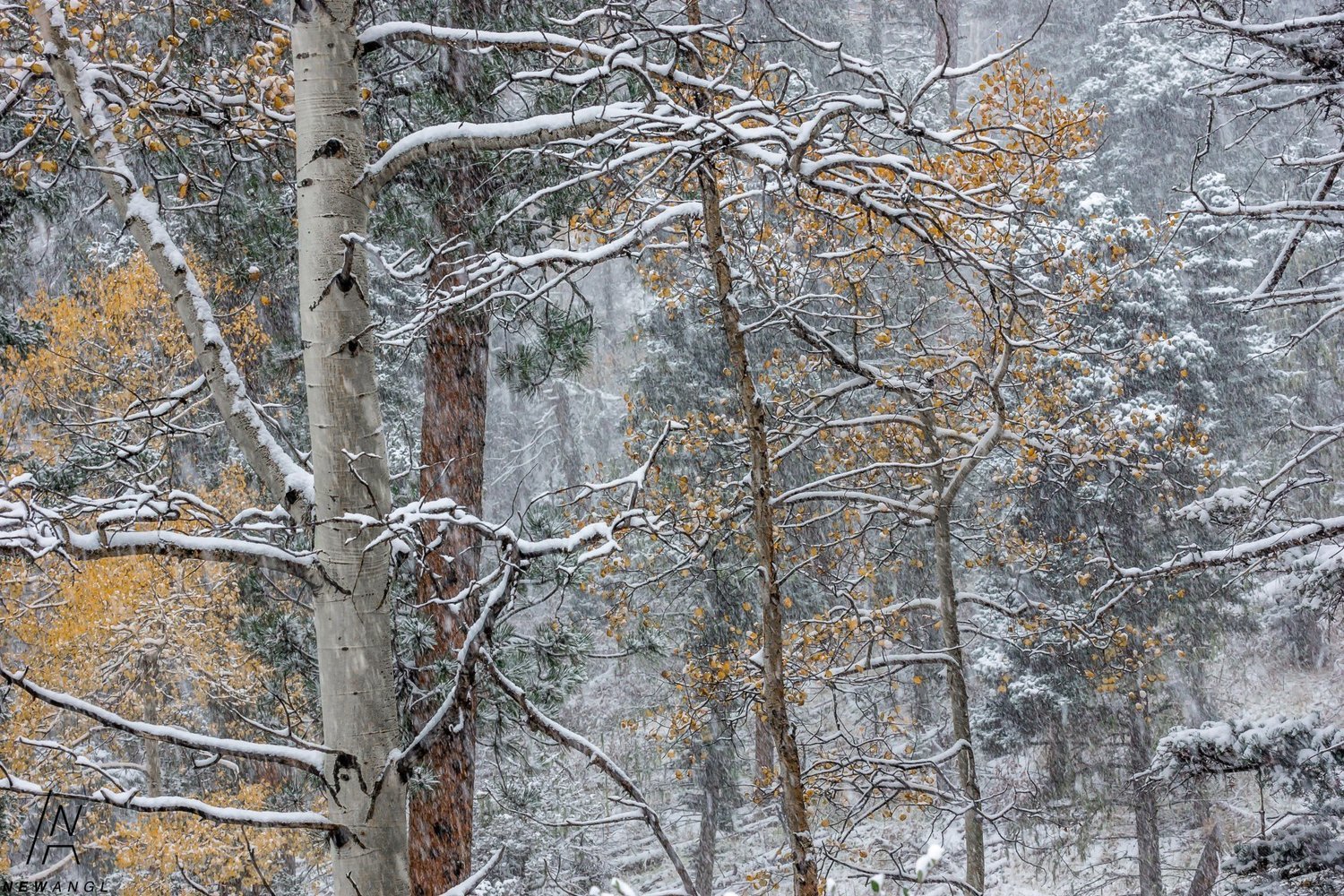 8009  Mountain Snow Globe