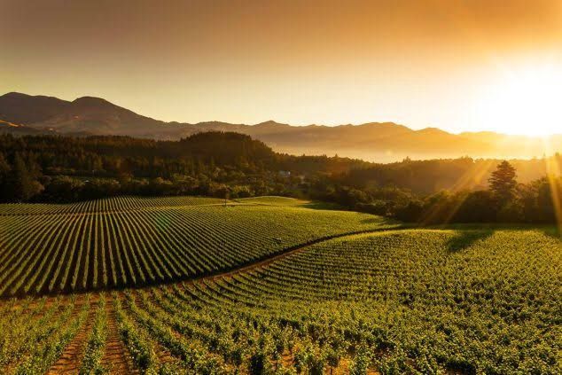 Wine Tasting: Exploring the West Coast Wine Tasting: Exploring the West Coast