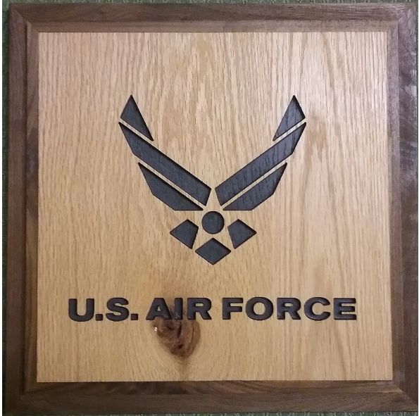 US Air Force Plaque (1)